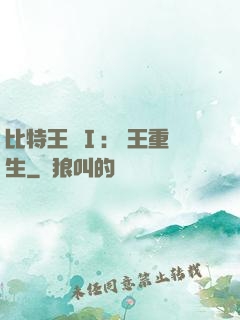比特王國Ⅰ: 國王重生
